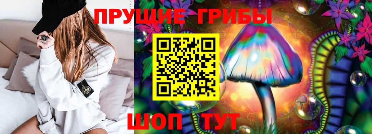Псилоцибиновые грибы прущие грибы Губаха