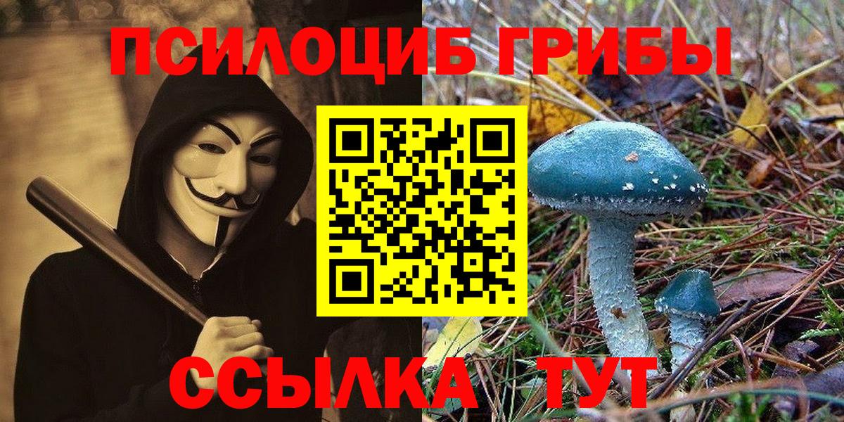 Псилоцибиновые грибы MAGIC MUSHROOMS  Вход с VPN  Губаха 